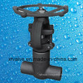 API602 Forged Steel A105 Flange or Thread End Gate Valves